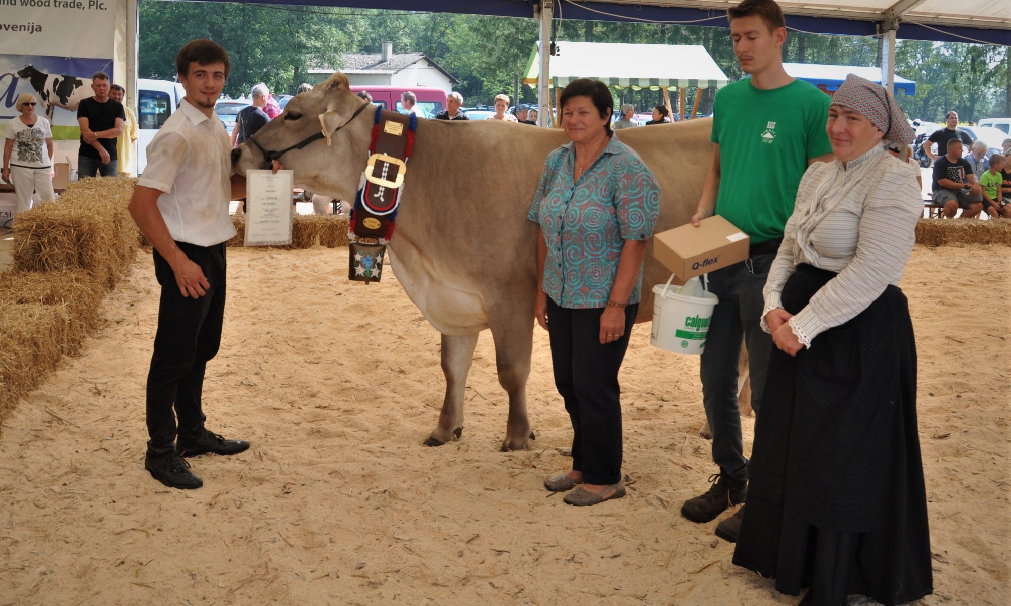 Predsednica zveze Sonja Arlič je podarila častni zvonec in nagrade najboljšim starejšim kravam rjave pasme